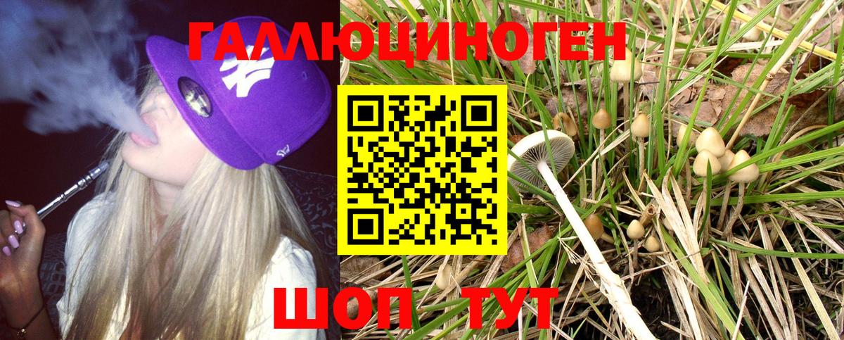 Александров  Галлюциногенные грибы ЛСД  Вход с VPN  Галлюциногенные грибы прущие грибы 